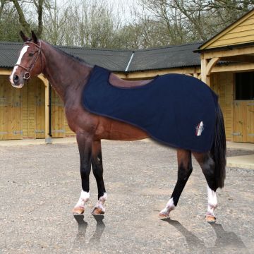 Horses Crown Stripes Exercise Rug