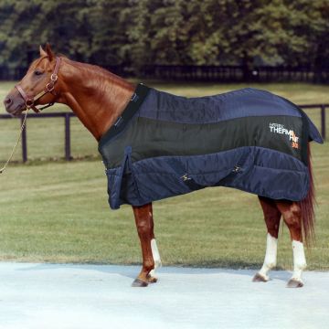 Horses Thermo HOT Stable Rug 300g