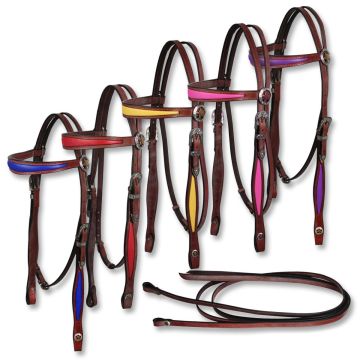 Coloured Bridle with Reins