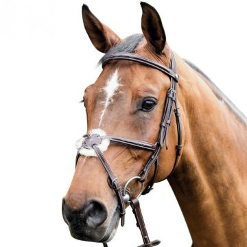 Prestige Bridle with Mexican Noseband