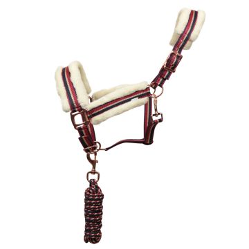Equityum Rosegold Halter with Lead Rope