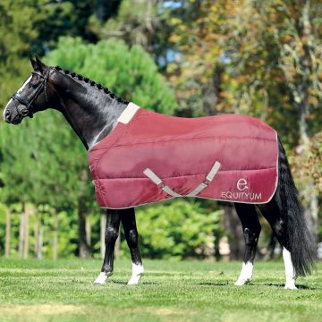 Equityum Camellia Stable Rug 300g