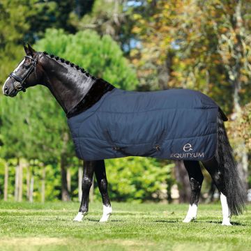 Equityum Pervinca Stable Rug 400g