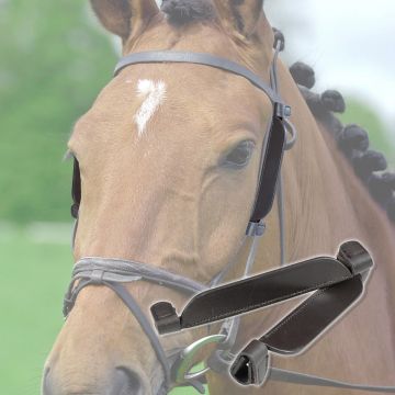 Protection des yeux Horses Blinker