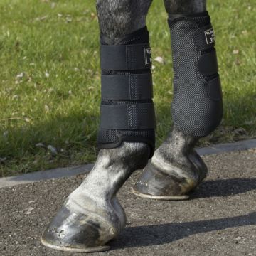 Back on Track Splint Boots 3D Mesh Welltex